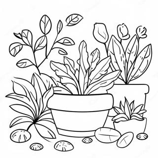 Colorful Herb Garden Coloring Page 28035-25464