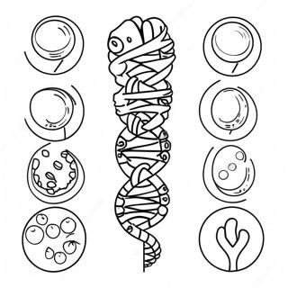 Genetics Coloring Page 29457-26571