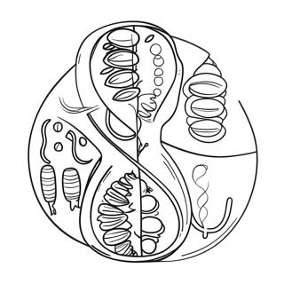 Genetics Coloring Page 29457-26572