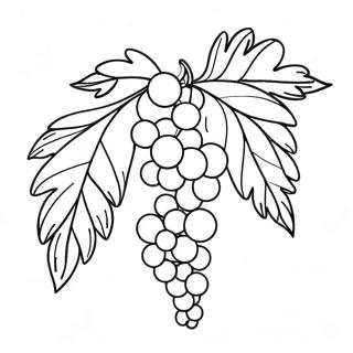 Vine Coloring Page 29707-26770