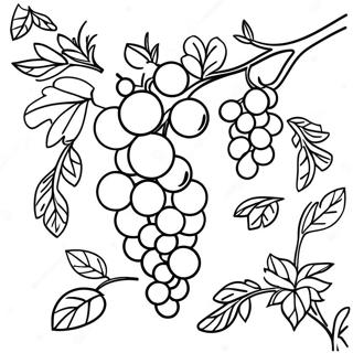 Vine Coloring Page 29707-26771