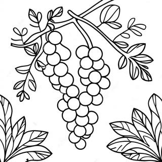 Vine Coloring Page 29707-26772