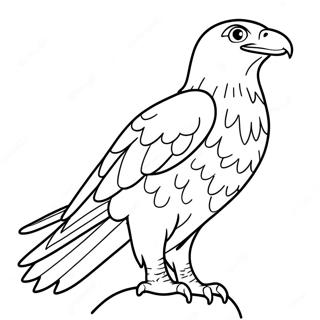 Jet The Hawk Coloring Page 30228-27178