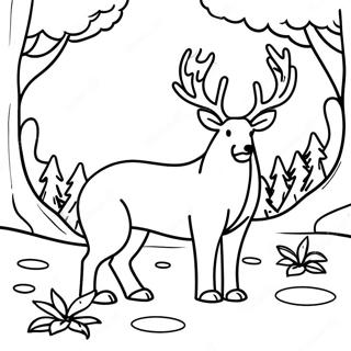 Wilderness Coloring Pages