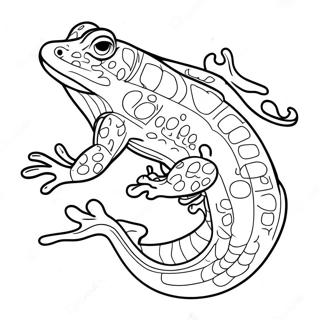 Salamander Coloring Page 30708-27558