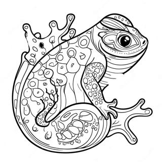 Salamander Coloring Page 30708-27560