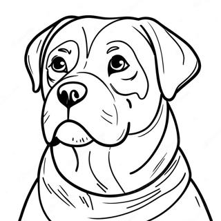 Rottweiler Coloring Page 30948-27750