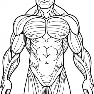 Human Muscles Anatomy Coloring Page 31368-28087