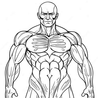 Human Muscles Anatomy Coloring Page 31368-28088