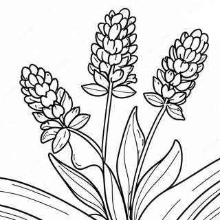 Lavender Flower Coloring Page 32691-17031