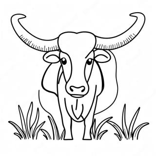 Longhorn Coloring Page 32891-17191