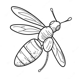 Firefly Coloring Page 32941-17230