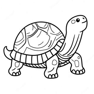 Tortoise Coloring Pages