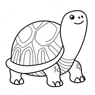 Tortoise Coloring Page 33061-17322