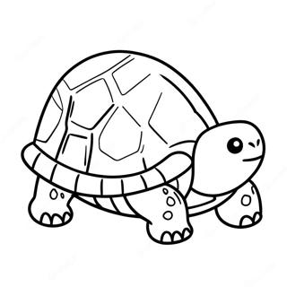 Tortoise Coloring Page 33061-17323