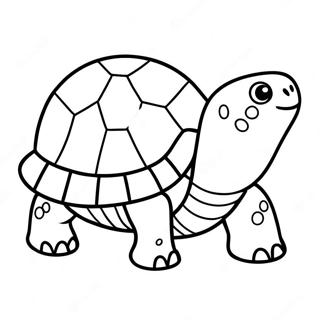 Cute Baby Tortoise Coloring Page 33062-17326