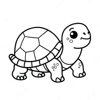 Cute Baby Tortoise Coloring Page 33062-17327