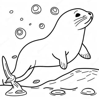 Playful Sea Lion Swimming Coloring Page 33212-17448