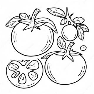 Tomato Coloring Page 33491-17666