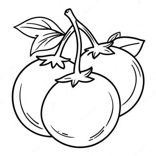 Tomato Coloring Page 33491-17668