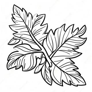 Leafy Branch Coloring Page 33562-17726