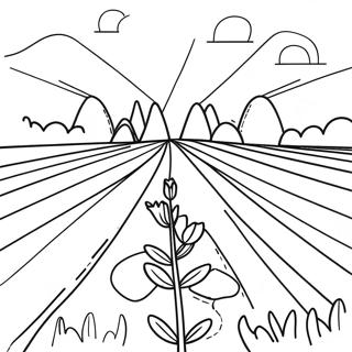 Dutch Tulip Fields Coloring Page 33823-17927