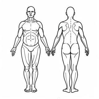 Body Outline Coloring Page 33892-17974