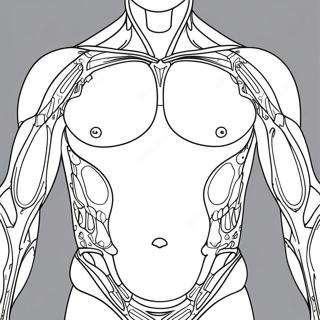 Body Outline Coloring Page 33892-17976