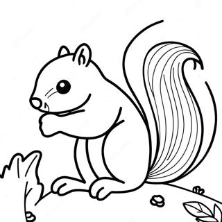 Squirrel Coloring Page 3399-2762