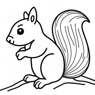 Squirrel Coloring Page 3399-2764