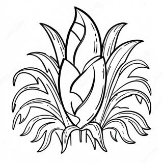 Cornstalk Coloring Page 34692-28890