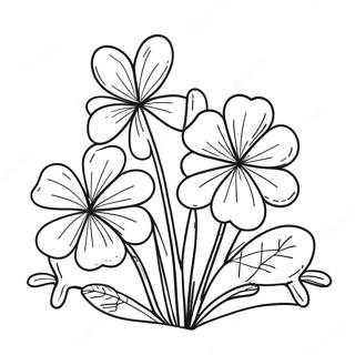 Clover Coloring Page 35153-29256