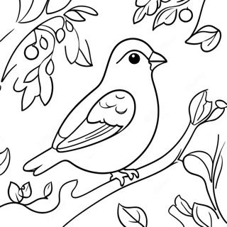 Festive Partridge In A Pear Tree Coloring Page 35254-29338