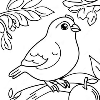 Festive Partridge In A Pear Tree Coloring Page 35254-29339