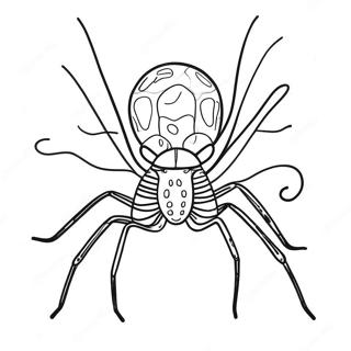 Daddy Long Legs Coloring Page 35353-29414