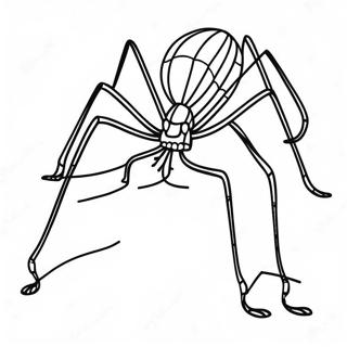 Daddy Long Legs Coloring Page 35353-29415