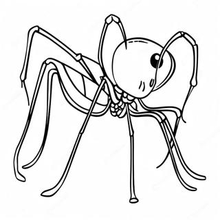 Cute Daddy Long Legs Coloring Page 35354-29418