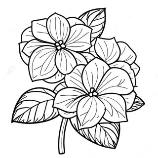 Hydrangea Flower Coloring Page 36183-30174