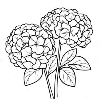 Beautiful Hydrangea Bouquet Coloring Page 36184-30181