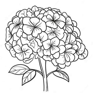 Beautiful Hydrangea Bouquet Coloring Page 36184-30183