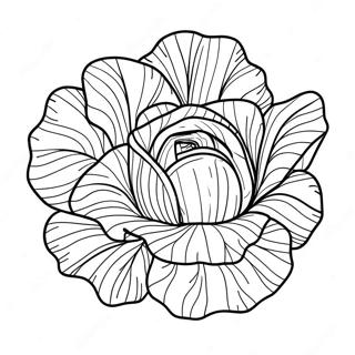 Lettuce Coloring Page 36785-30655