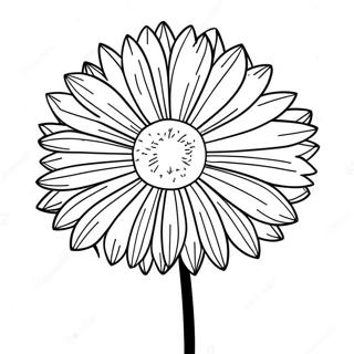 Dandelion Coloring Pages