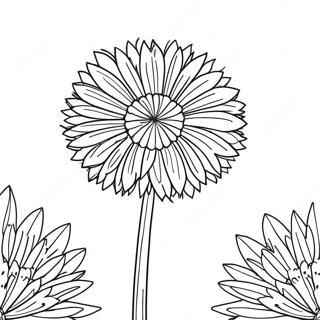 Dandelion Coloring Page 36835-30680