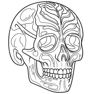 Anatomy And Physiology Coloring Page 37505-31230