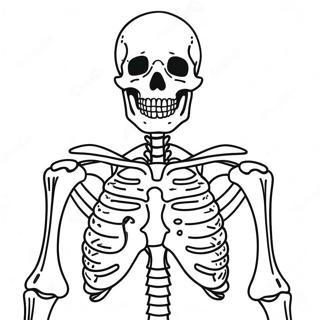 Human Skeleton Anatomy Coloring Page 37506-31219