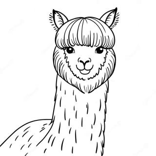 Alpaca Coloring Page 37585-31283