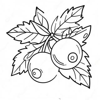 Holly Coloring Pages