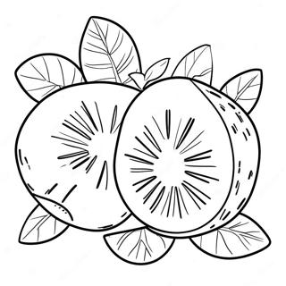 Kiwi Fruit Coloring Page 38036-31636