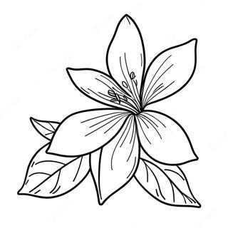 Orange Blossom Coloring Page 38736-32196