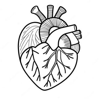 Heart Anatomy Coloring Page 3950-3194